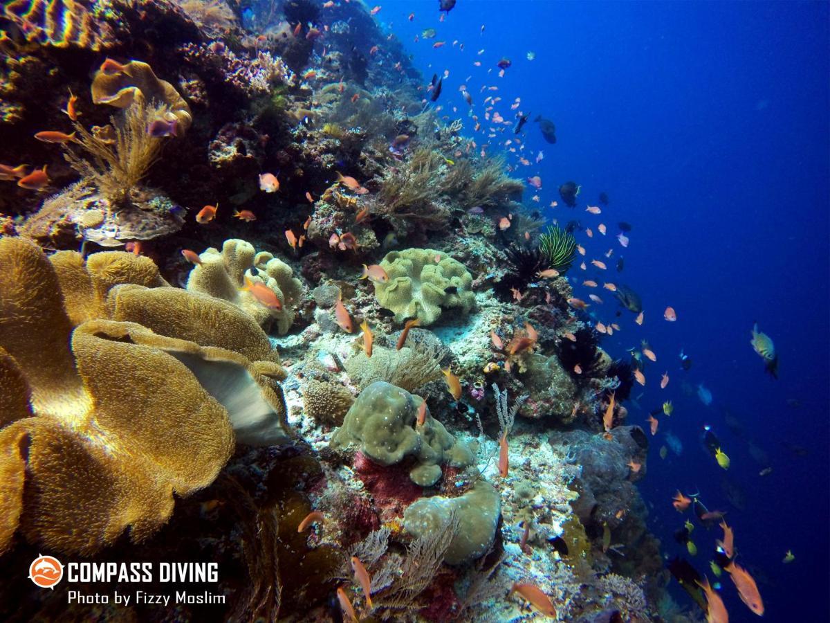 Compass Diving Resort Beloi Ngoại thất bức ảnh